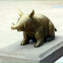 복돼지 티스토리