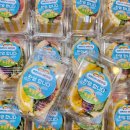 송학초병설유치원 이미지