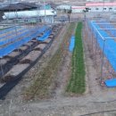 별빛민박농원 이미지