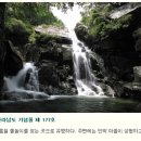 신황민박 네이버블로그