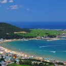 월포자연산횟집 이미지