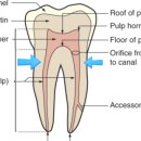 오세홍치과의원 이미지