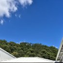 황금세차장 이미지