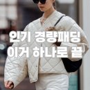 럭스 핏(Lux Fit) | 2024 인기 경량패딩 best 총정리( 노스페이스 디스커버리 지오다노 k2 유니클로 산산기어 나이키