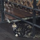 깊이울마을 | 포천 깊이울 스토리 펜션 저수지 뷰 101호 숙박 후기(스파, 바베큐,저수지뷰)