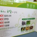 엘샤론코리아 이미지