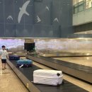 은경목장 | 나트랑 판랑투어추천 산티아고 판랑투어 준비물 비용 팁 솔직후기 자유여행 일정