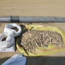 관평초등학교(병설) 이미지