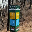 광교산 신봉동 등산로 Daum카페