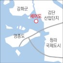 도심속에작은야생화 이미지