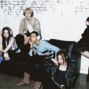 진보퍼피 이미지