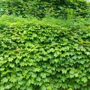 가조면사무소 이미지