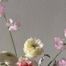 오흐니