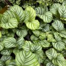 농협본점 이미지