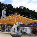 (주)블렌즈 | 2026 봉은사 홍매화 실시간 개화시기 &amp; 주차 꿀팁 관전 포인트 정리