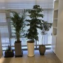 시청하늘정신건강의학과의원 이미지