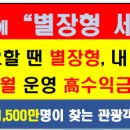 양양별장 Daum카페