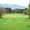 한라산CC | 제주도 대중제 골프장 부킹 가성비 좋은 제주 한라산cc 예약 후기