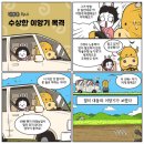대동영상