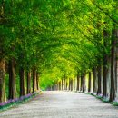 없습니다 이미지