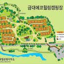 금대에코힐링캠핑장 이미지