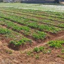 남해-209 이미지