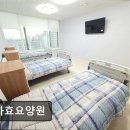 부여효요양병원 | [김포 요양병원/추천/후기] 교하효요양원 청결과 소통에 집중한 요양원