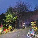 남이섬힐링캠핑장 이미지