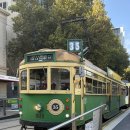 [호주 어학연수 29-30DAY] 🚋클래식한 35번 트램타고 바디월드🫁+라틴마켓 후기🇲🇽🇨🇱🇨🇴