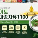 메디팜신세계약국 이미지