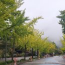 (주)용문여행 이미지