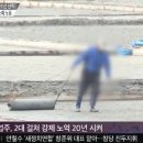 통영멸치나라