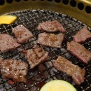 진심한우육회