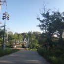단지장골1 Daum카페