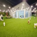 수원-1033 이미지