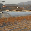 샛골축산 이미지