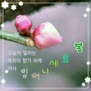 꽃을사랑합니다 이미지