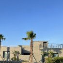 사계살랑7동 이미지