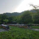 내검농장 Daum카페