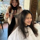 볼륨매직 고민 중이라면 꼭 봐야 할 레이어드컷 후기 - 울산삼산미용실 제시카