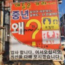 로마관광나이트 이미지