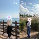 죽전 | 포항다이어트 한달 7kg 감량?!!?⭐❤️ 대구쥬비스죽전후기(고도비만 전문)