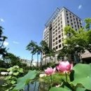 창가(한국SGI) 이미지