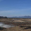 차원목장 이미지