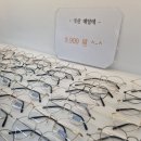 으뜸50안경 수원금곡점 이미지