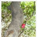 내도운동장 이미지