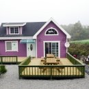 용인단풍숲캠핑장 이미지