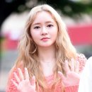 미모코스 이미지