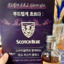 향 수놓다 | 위스키 클래스: 스카치블루 토요 위스키 클래스 후기 (클래식, 21년산, 싱글몰트 4종, 30년산 시음까지)