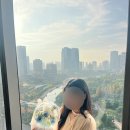 베네 | 쉐라톤 고메 앳 더 베네 후기••• 🎀 사랑!!! 미안!!! 깜찍!!!